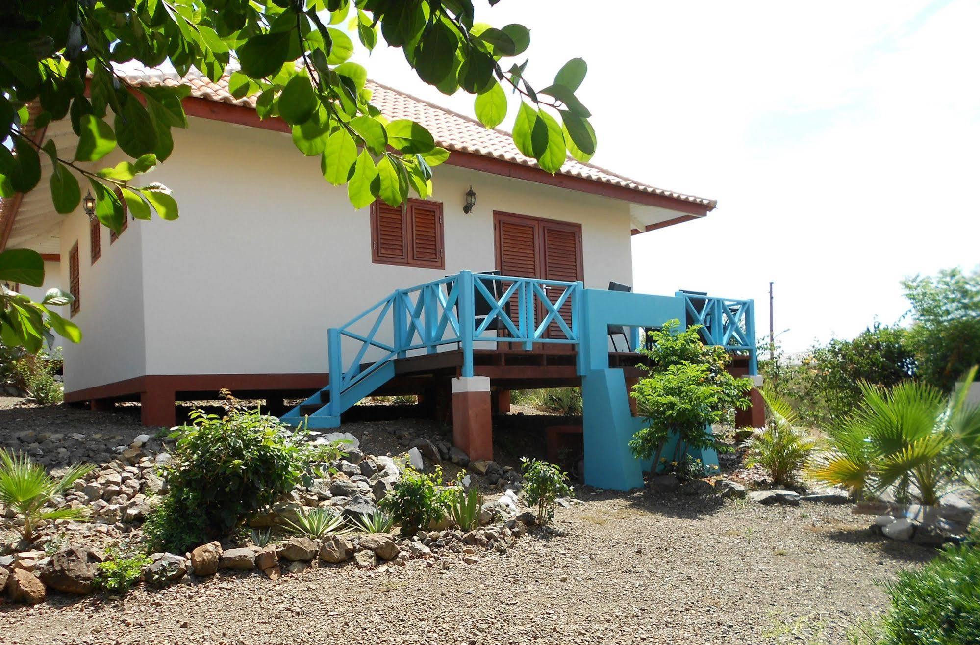 Botanique Bungalows Westpunt Kültér fotó